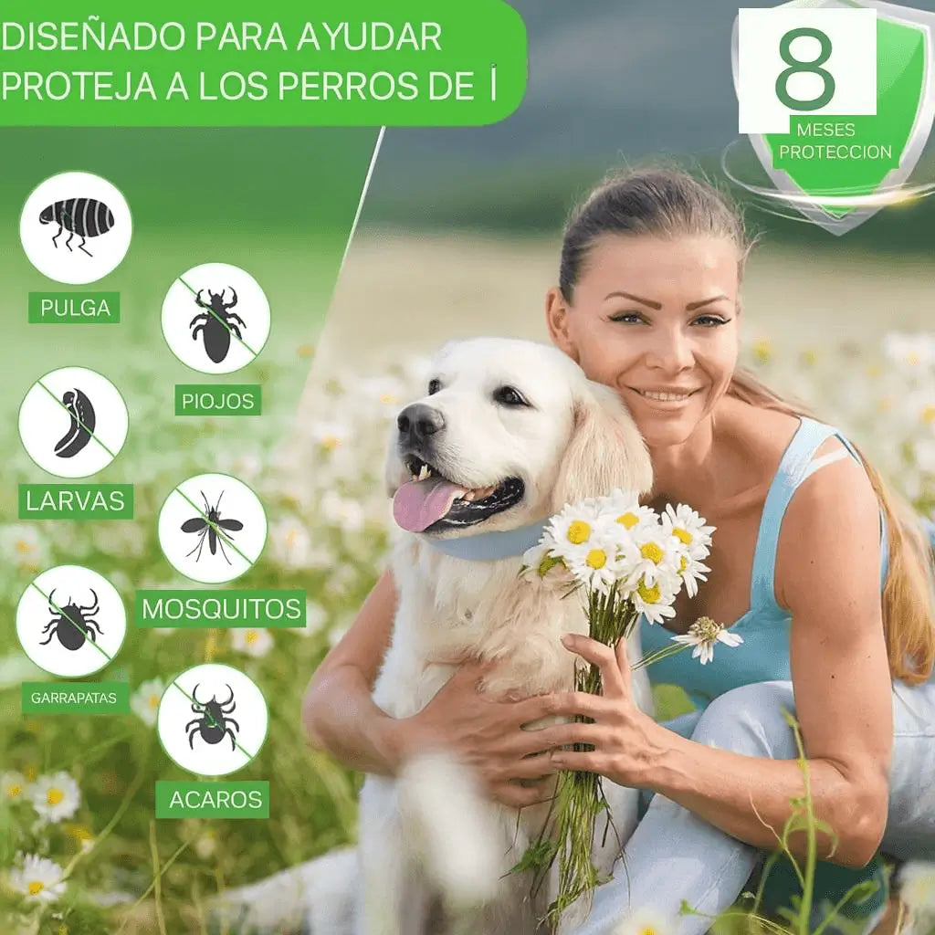 VitaPet® Collar Antipulgas