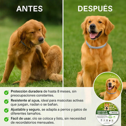 VitaPet® Collar Antipulgas