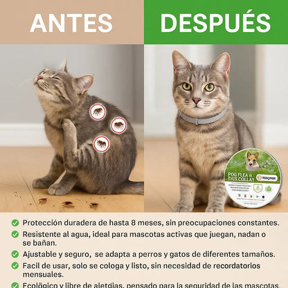 VitaPet® Collar Antipulgas